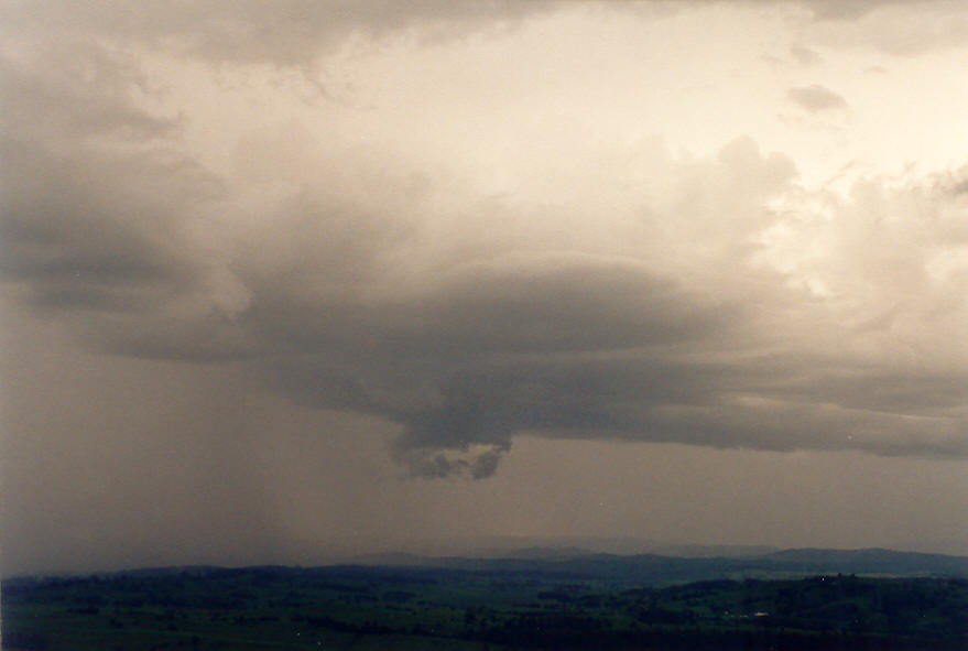 cumulonimbus thunderstorm_base : Mallanganee NSW   16 March 2003