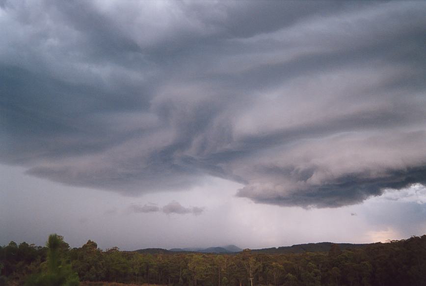 cumulonimbus thunderstorm_base : N of Karuah, NSW   20 March 2003