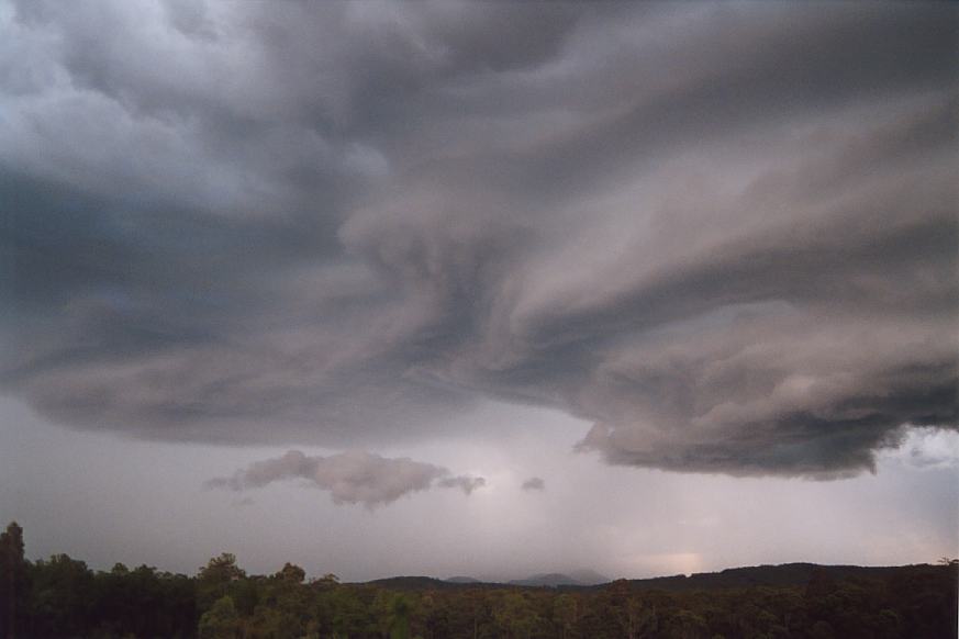 cumulonimbus supercell_thunderstorm : N of Karuah, NSW   20 March 2003