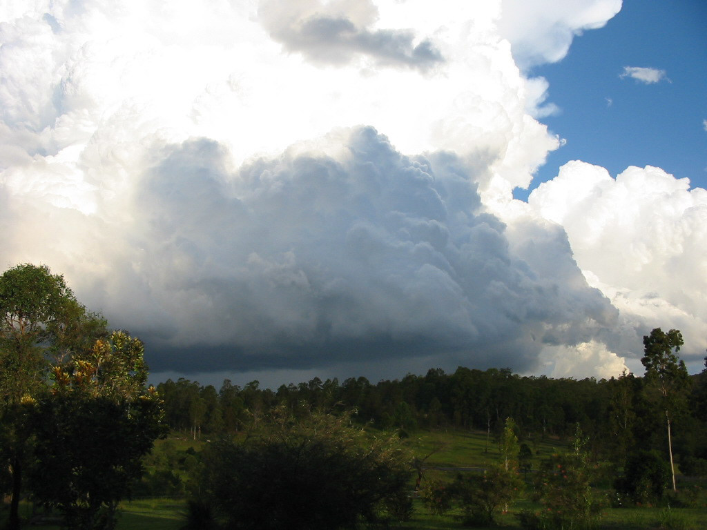 contributions received : Tabulam, NSW<BR>Photo by Leon Skybinsky   22 March 2003