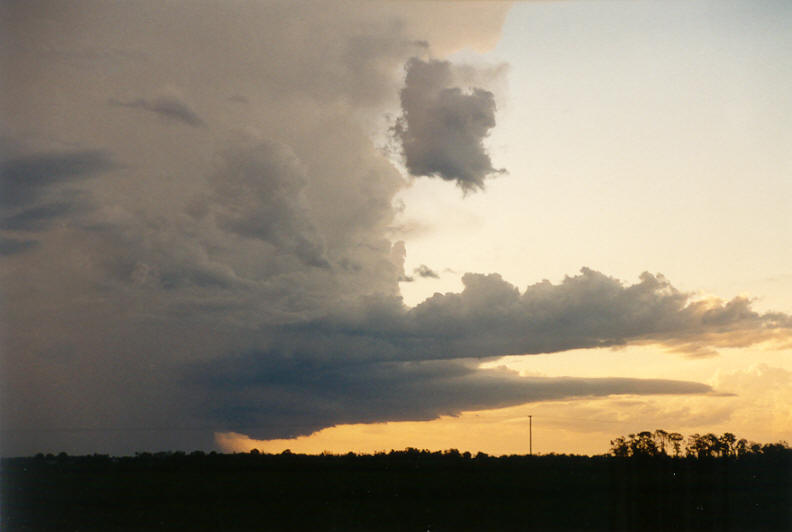 wallcloud thunderstorm_wall_cloud : Coraki, NSW   22 March 2003