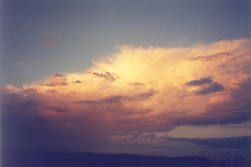anvil thunderstorm_anvils : McLeans Ridges, NSW   22 March 2003