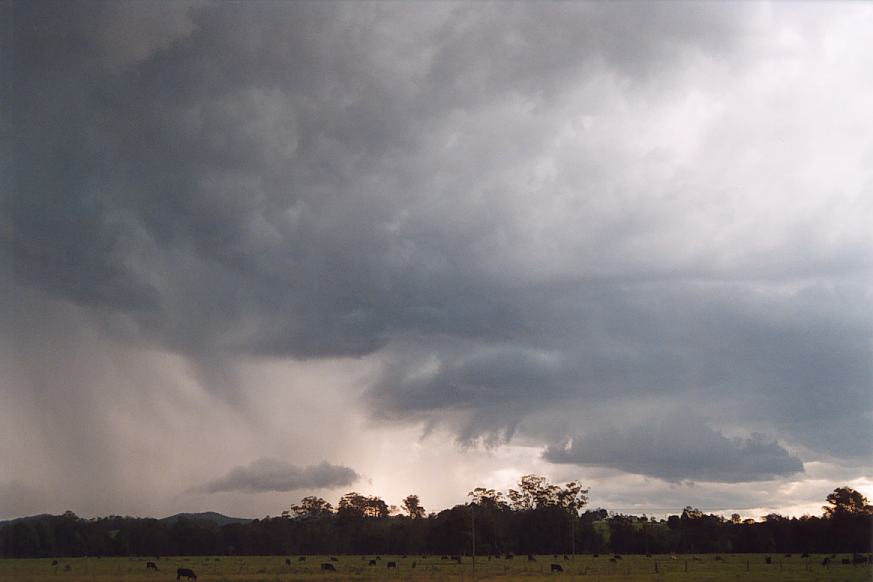 raincascade precipitation_cascade : Warrell Creek, NSW   30 March 2003