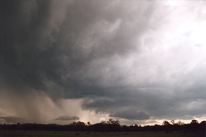 cumulonimbus thunderstorm_base : Warrell Creek, NSW   30 March 2003