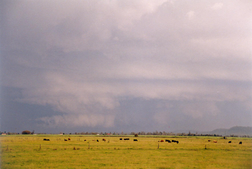 cumulonimbus thunderstorm_base : Woodburn, NSW   30 March 2003