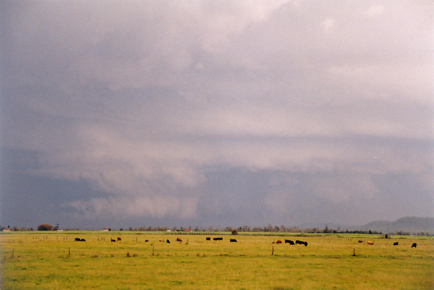 cumulonimbus supercell_thunderstorm : Woodburn, NSW   30 March 2003