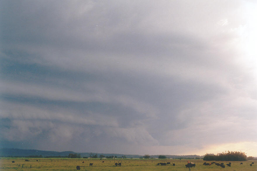 cumulonimbus supercell_thunderstorm : Woodburn, NSW   30 March 2003