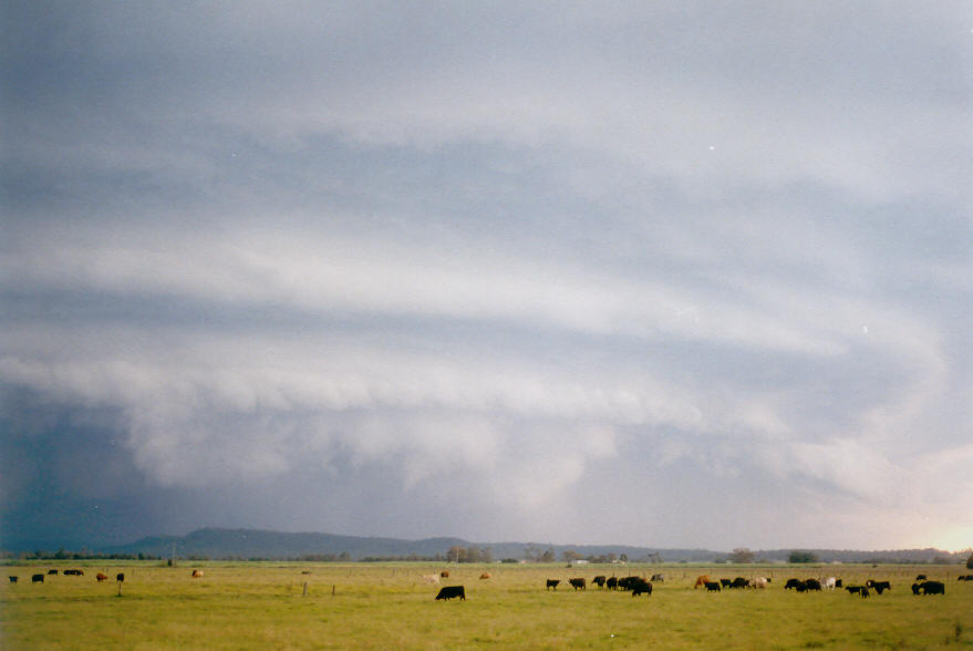 cumulonimbus thunderstorm_base : Woodburn, NSW   30 March 2003