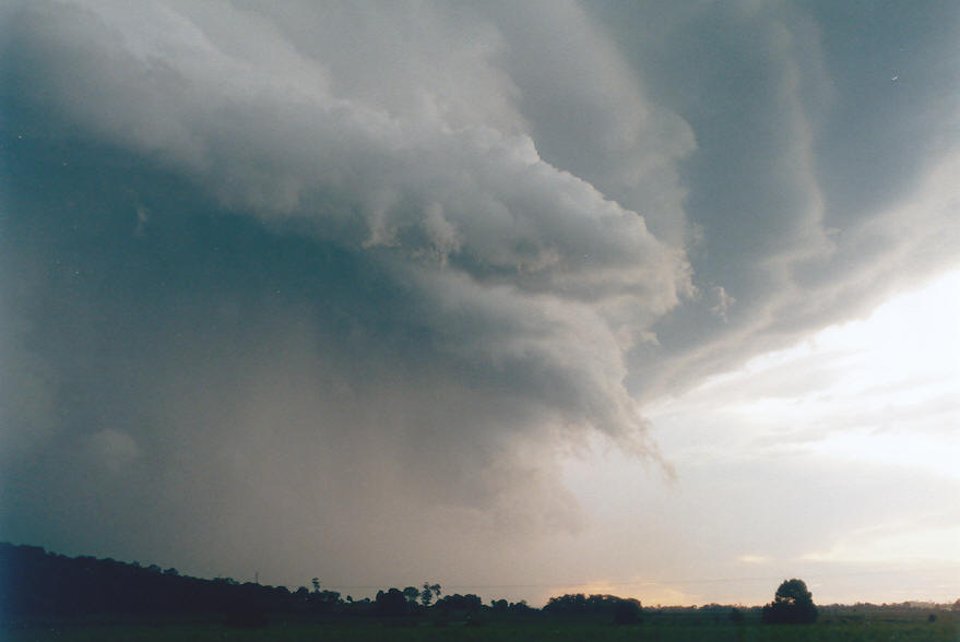 cumulonimbus thunderstorm_base : near Coraki, NSW   30 March 2003