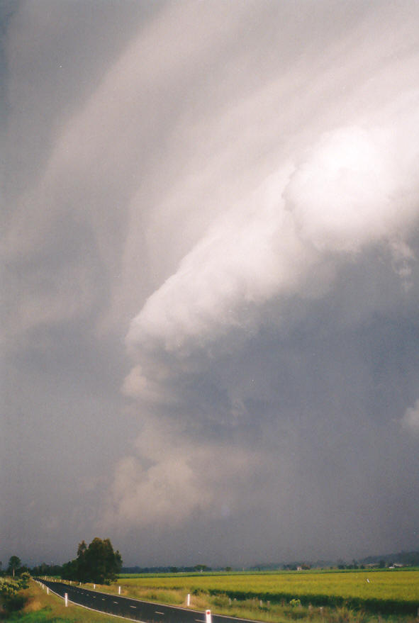 shelfcloud shelf_cloud : near Coraki, NSW   30 March 2003