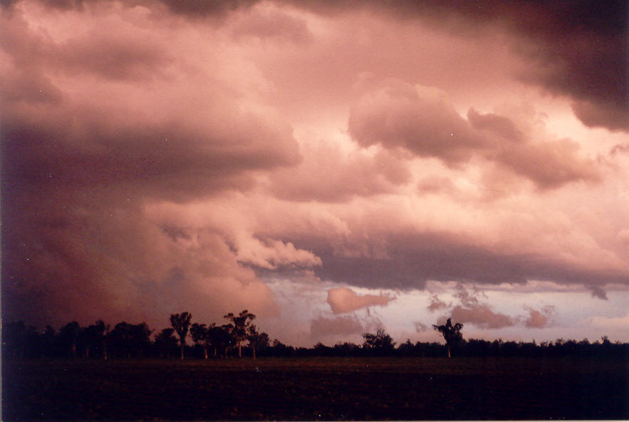 wallcloud thunderstorm_wall_cloud : E of Casino, NSW   30 March 2003