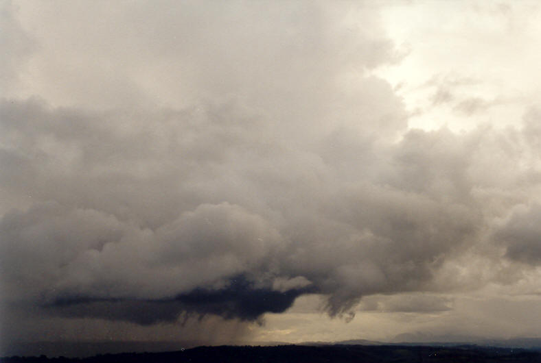 cumulus congestus : McLeans Ridges, NSW   23 April 2003