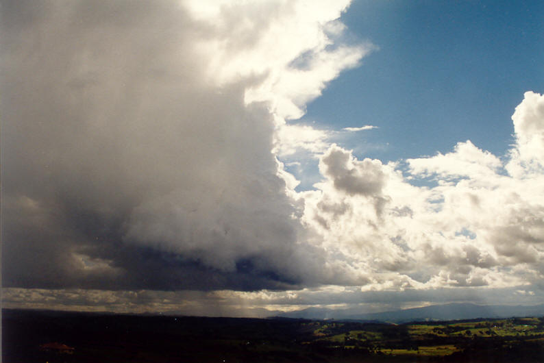 cumulus congestus : McLeans Ridges, NSW   27 May 2003