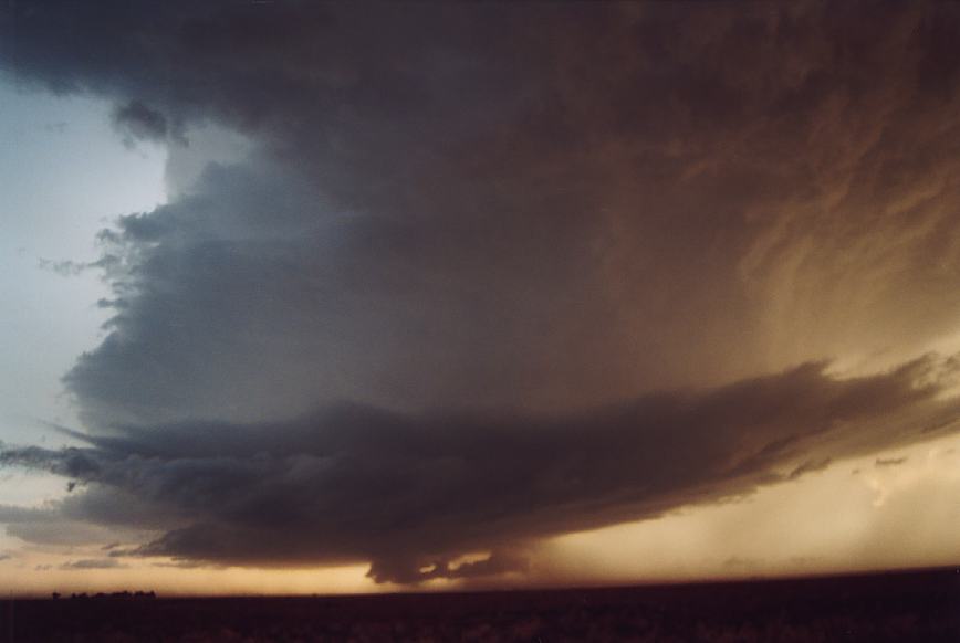 wallcloud thunderstorm_wall_cloud : Littlefield, Texas, USA   3 June 2003