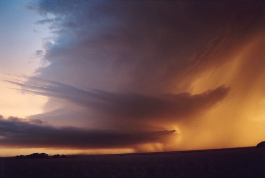 cumulonimbus supercell_thunderstorm : near Levelland, Texas, USA   3 June 2003