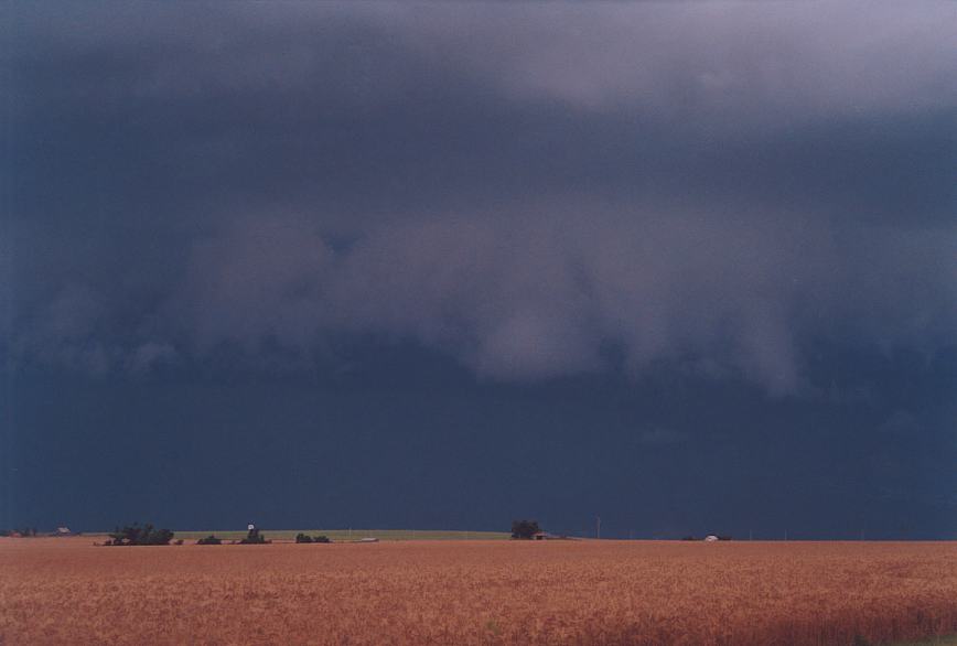 cumulonimbus thunderstorm_base : Hinton, Oklahoma, USA   10 June 2003
