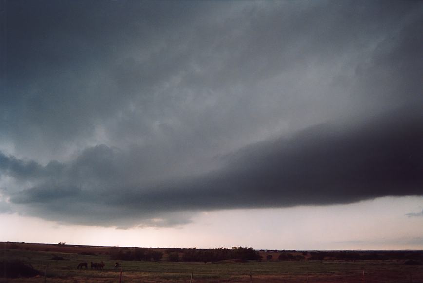cumulonimbus supercell_thunderstorm : near Olney, Texas, USA   12 June 2003