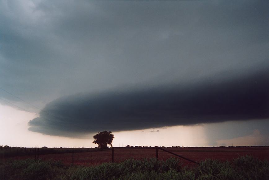 cumulonimbus thunderstorm_base : near Olney, Texas, USA   12 June 2003