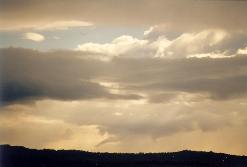 cumulus mediocris : McLeans Ridges, NSW   21 June 2003