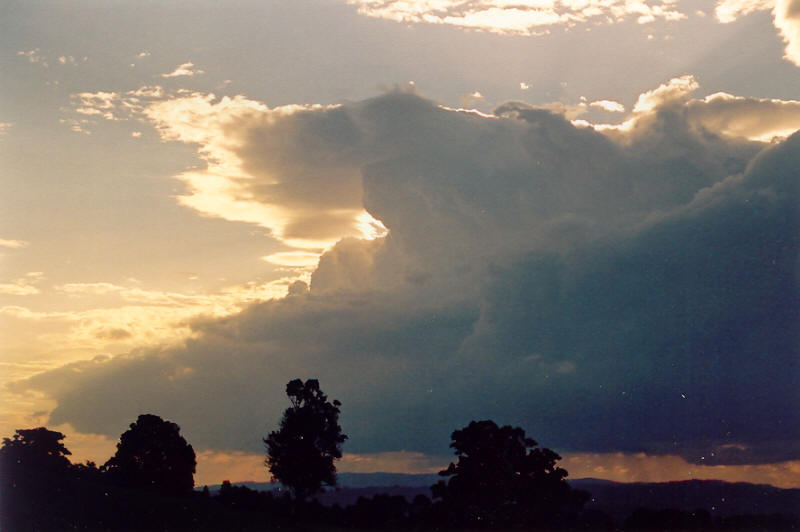 cumulus congestus : McLeans Ridges, NSW   8 August 2003