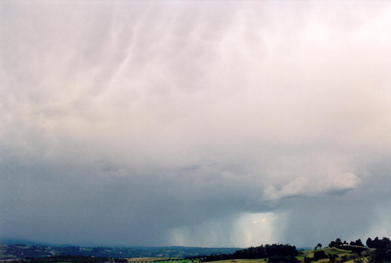 raincascade precipitation_cascade : McLeans Ridges, NSW   31 August 2003