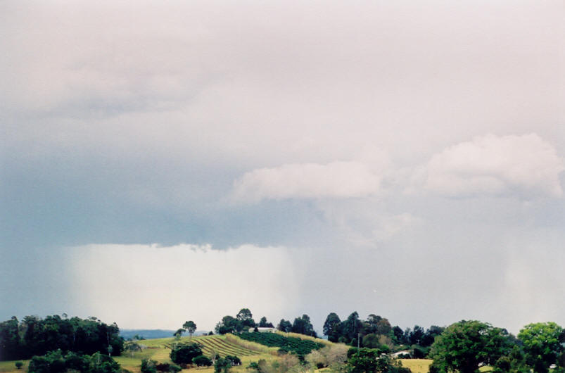 raincascade precipitation_cascade : McLeans Ridges, NSW   31 August 2003