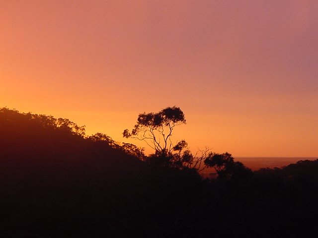 contributions received : Golden Grove, SA<BR>Photo by Cliff Beale   1 September 2003