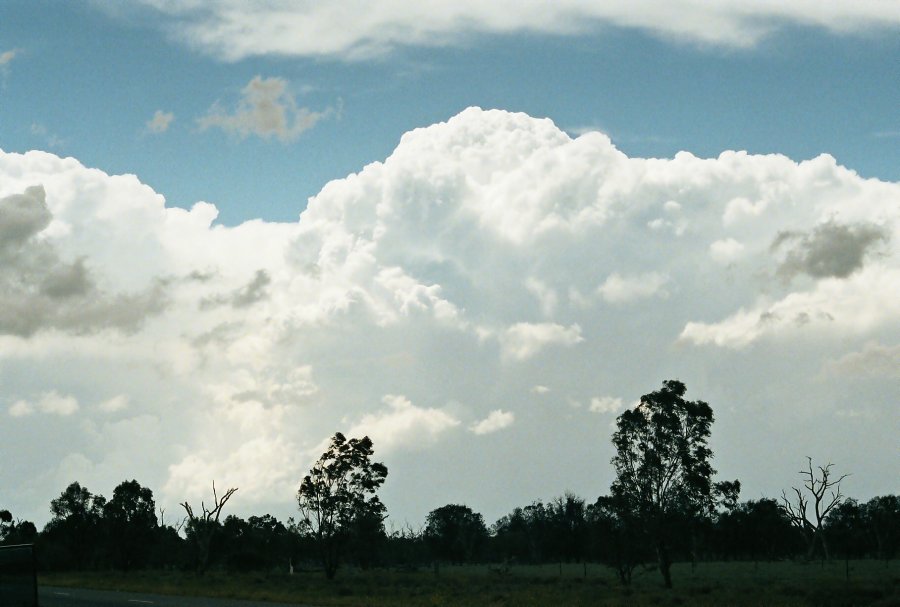 contributions received : E of Walgett, NSW<BR>Photo by Brett Vilnis   2 October 2003