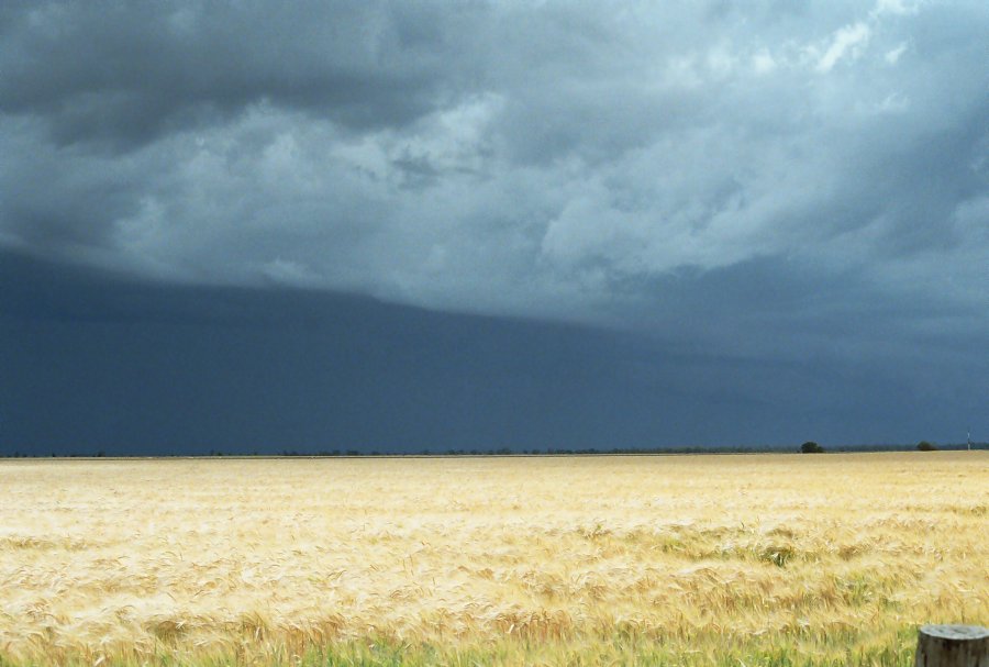 contributions received : Moree, NSW<BR>Photo by Brett Vilnis   2 October 2003