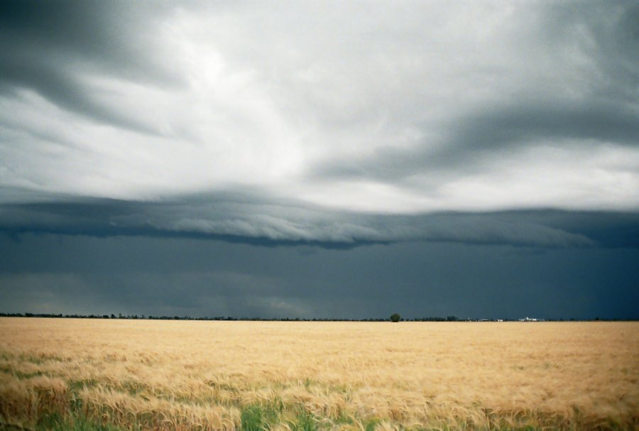 contributions received : Moree, NSW<BR>Photo by Brett Vilnis   2 October 2003