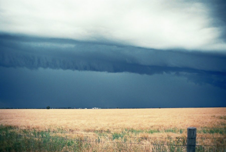 contributions received : Moree, NSW<BR>Photo by Brett Vilnis   2 October 2003