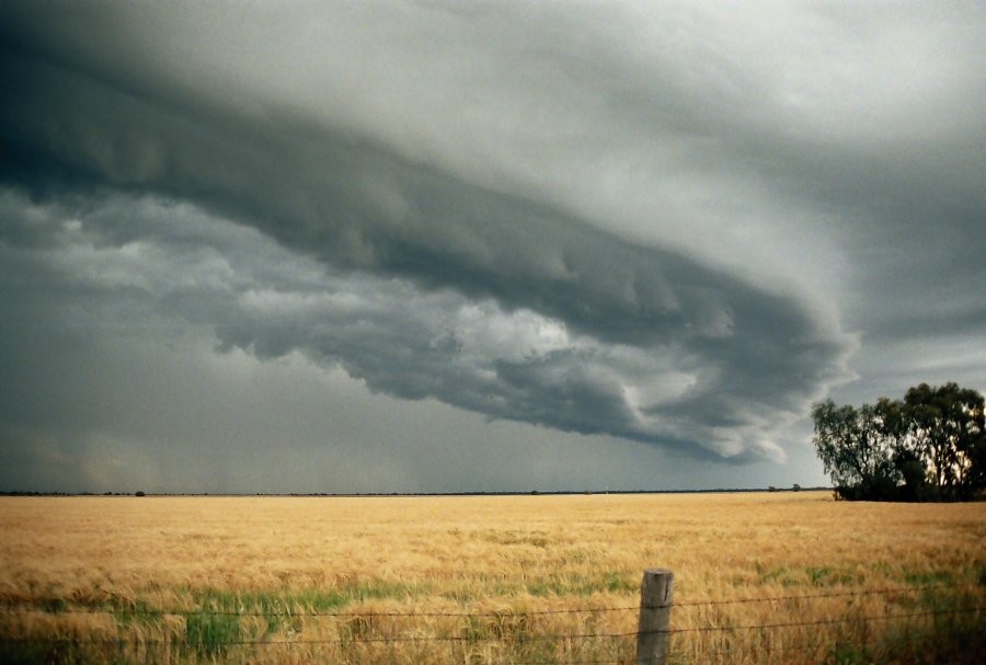 contributions received : Moree, NSW<BR>Photo by Brett Vilnis   2 October 2003