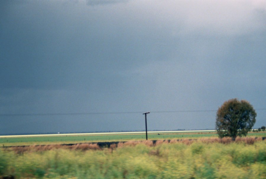 contributions received : S of Mullaley, NSW<BR>Photo by Brett Vilnis   2 October 2003