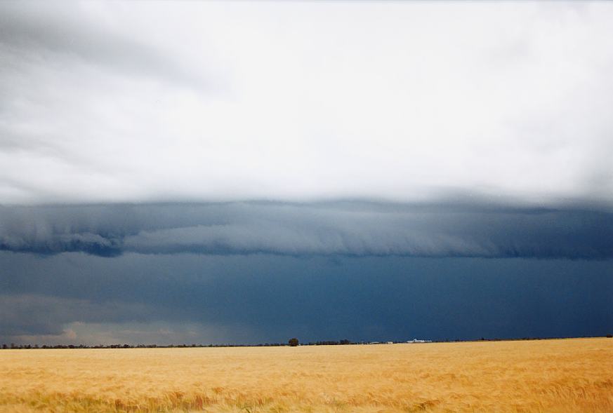 cumulonimbus thunderstorm_base : Moree, NSW   2 October 2003