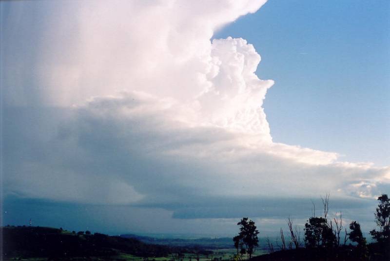 cumulonimbus supercell_thunderstorm : Meerschaum, NSW   20 October 2003