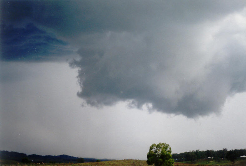 wallcloud thunderstorm_wall_cloud : Mummulgum, NSW   25 October 2003