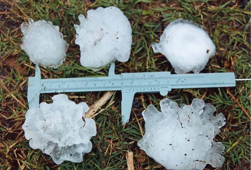 hailstones hail_stones : Tyndale, NSW   26 October 2003