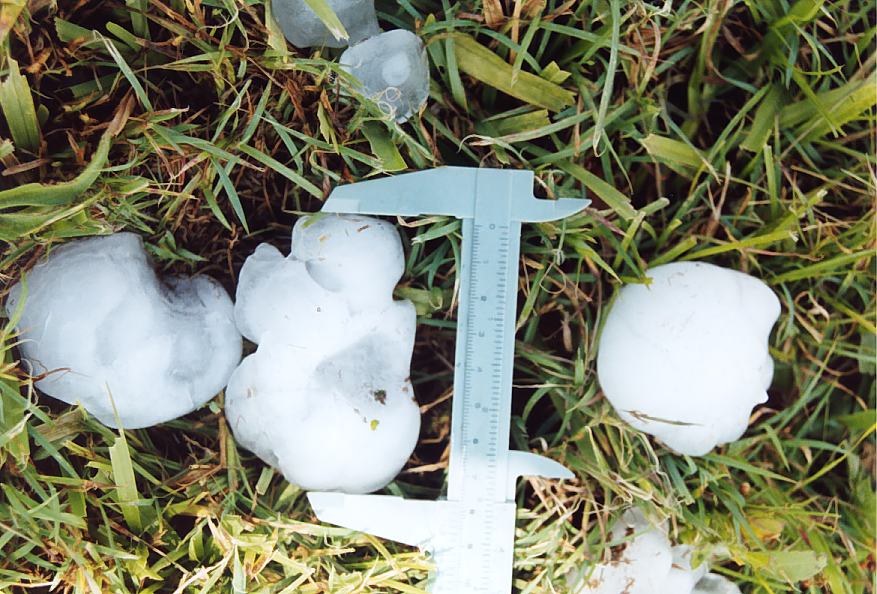 hailstones hail_stones : Tyndale, NSW   26 October 2003