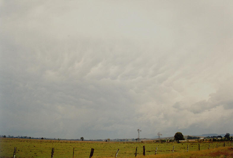 mammatus mammatus_cloud : N of Casino, NSW   26 October 2003