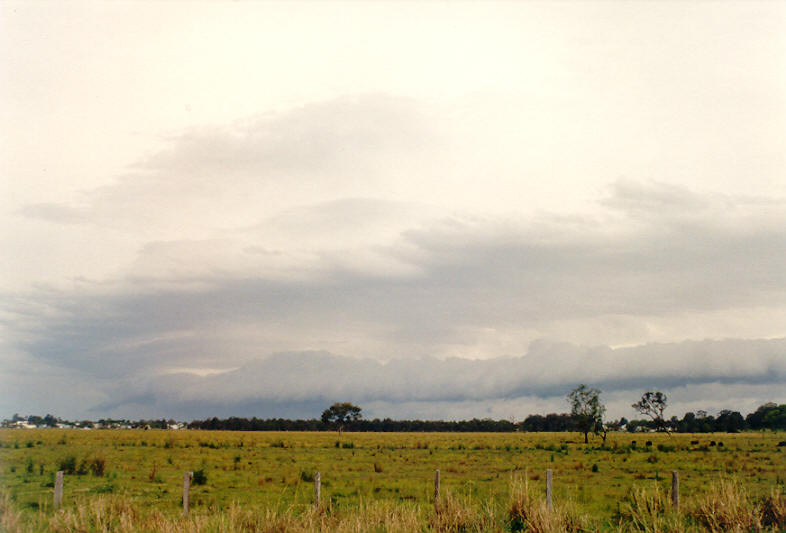 cumulonimbus thunderstorm_base : Coraki, NSW   26 October 2003