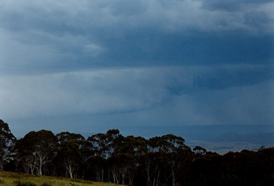 cumulonimbus thunderstorm_base : Mt Lambie, NSW   16 November 2003