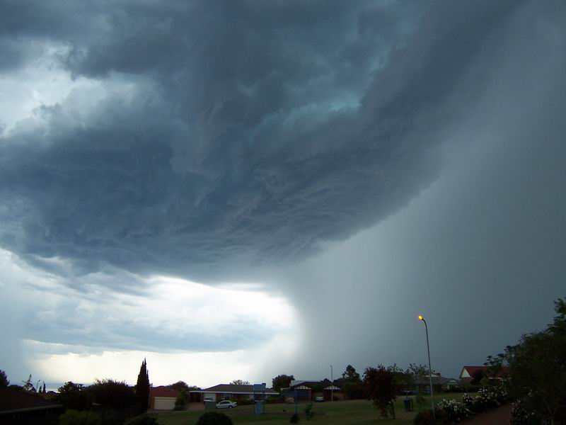 contributions received : Hallett Cove, SA<BR>Photo by Sharon Hayes   19 November 2003