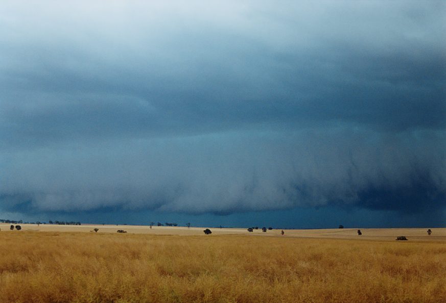 cumulonimbus thunderstorm_base : Temora, NSW   21 November 2003