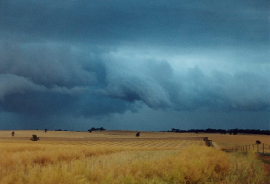 shelfcloud shelf_cloud : Temora, NSW   21 November 2003
