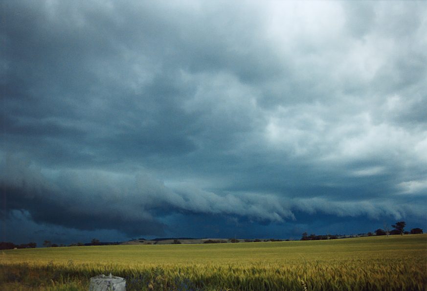 favourites jimmy_deguara : N of Harden, NSW   21 November 2003