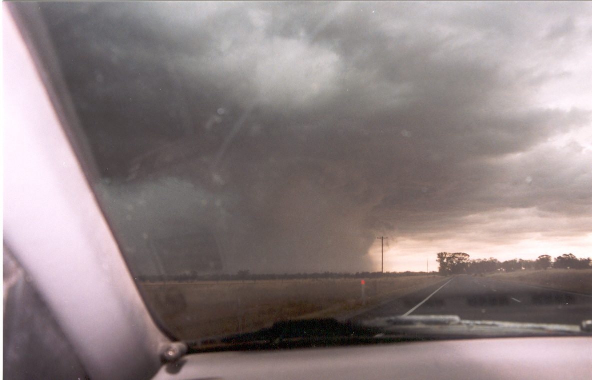 contributions received : Temora, NSW<BR>Photo by Maarten Brandt   21 November 2003