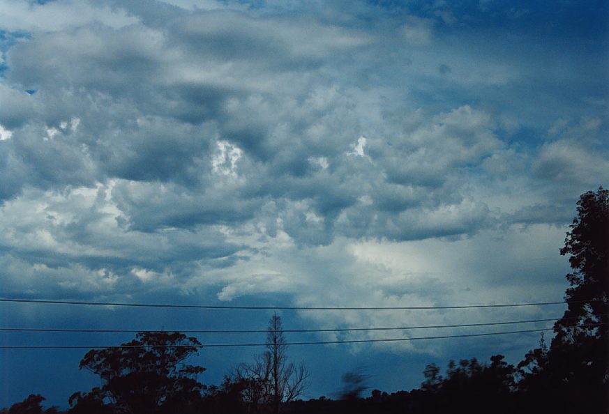 cumulonimbus thunderstorm_base : near Blaxland, NSW   30 November 2003