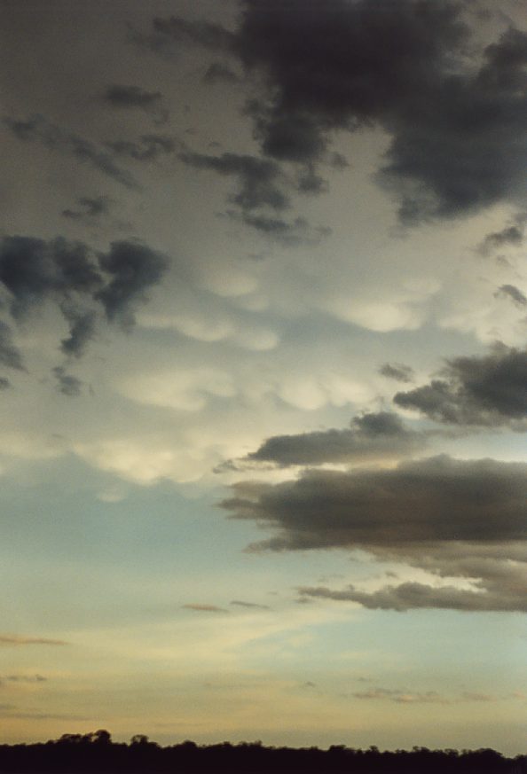 mammatus mammatus_cloud : south Griffith, NSW   1 December 2003