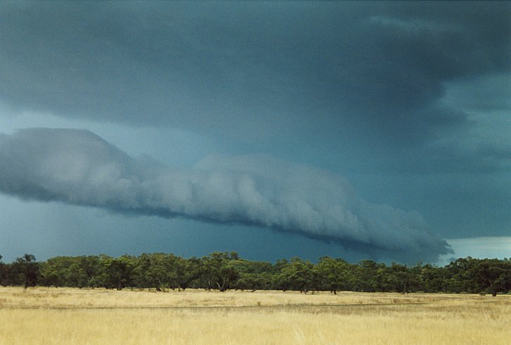 cumulonimbus thunderstorm_base : E of Hay, NSW   3 December 2003