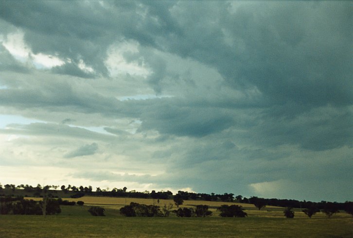 cumulonimbus thunderstorm_base : N of Molong, NSW   12 December 2003
